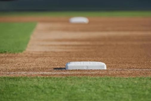 Detroit Tigers: Who Should Bat Leadoff?