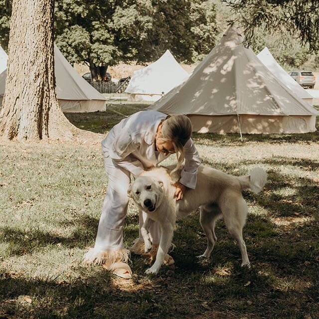 Oddly enough, life behind the scenes at Cliffside Acres looks a lot like this right now: staying in jammies longer than we&rsquo;d like to admit and many breaks for belly rubs! (I have to confess: it looks a lot less fabulous than this photo.)
.
Did 