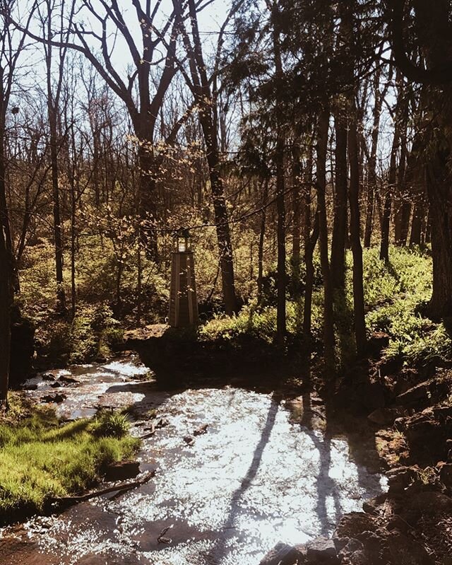 Happy Earth Day! 🌎🌱
.
Everything is beginning to bloom and we can&rsquo;t wait until we get to share it with all of you! It has always been our goal for Cliffside Acres to feel like the perfect mix of wild and sophisticated, a place where you can e