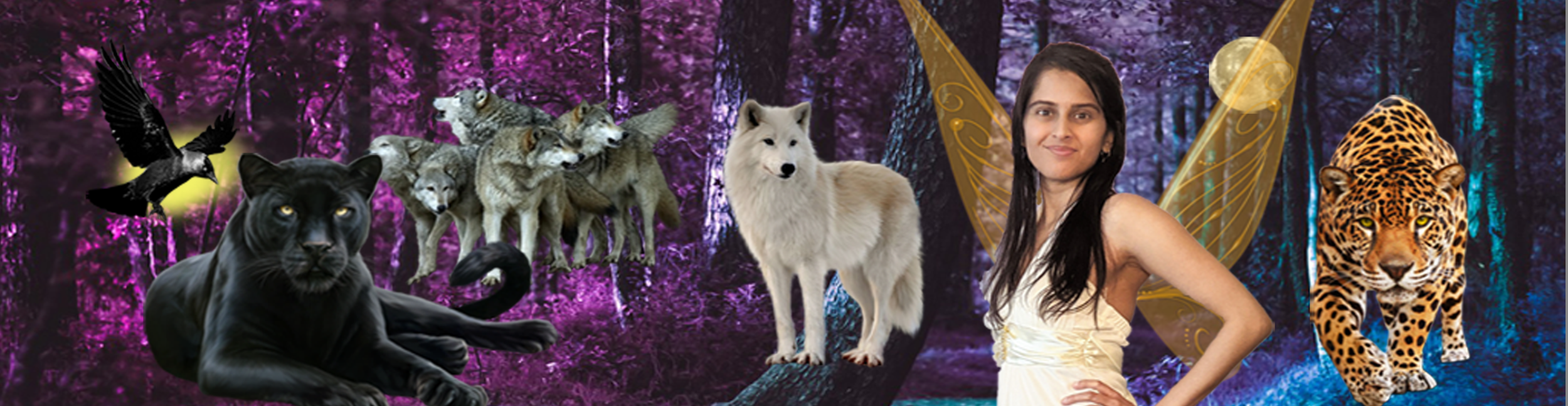 Animal Spirit Banner_v1.11.PNG
