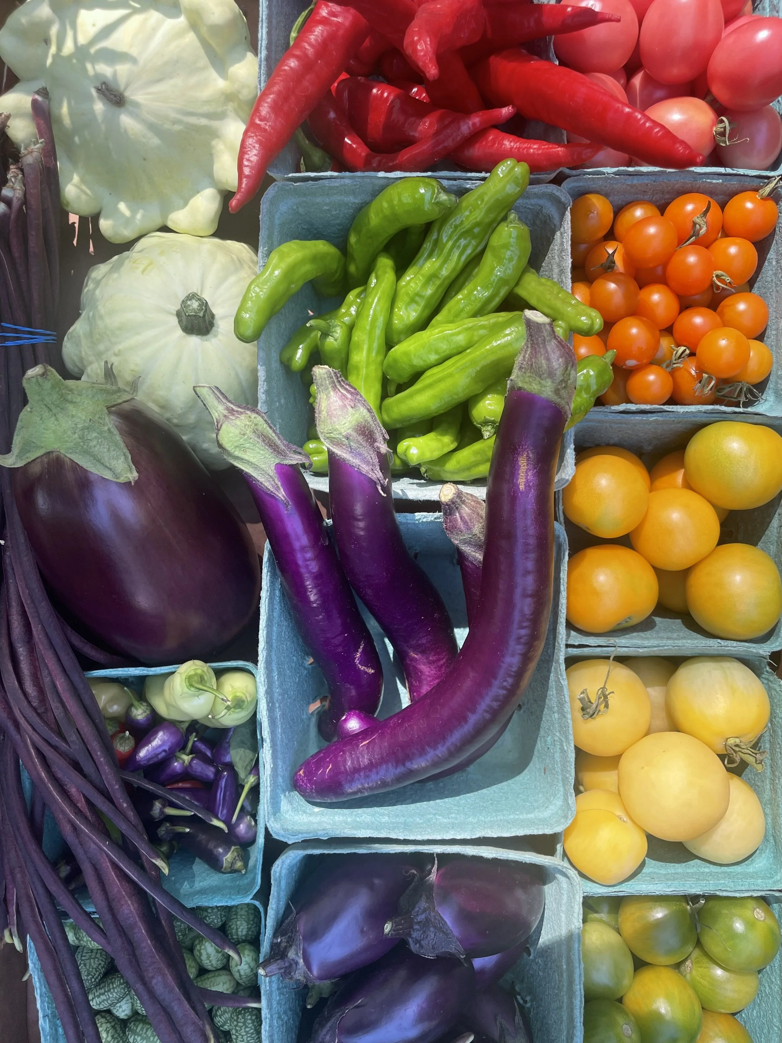 About — Featherstone Garden