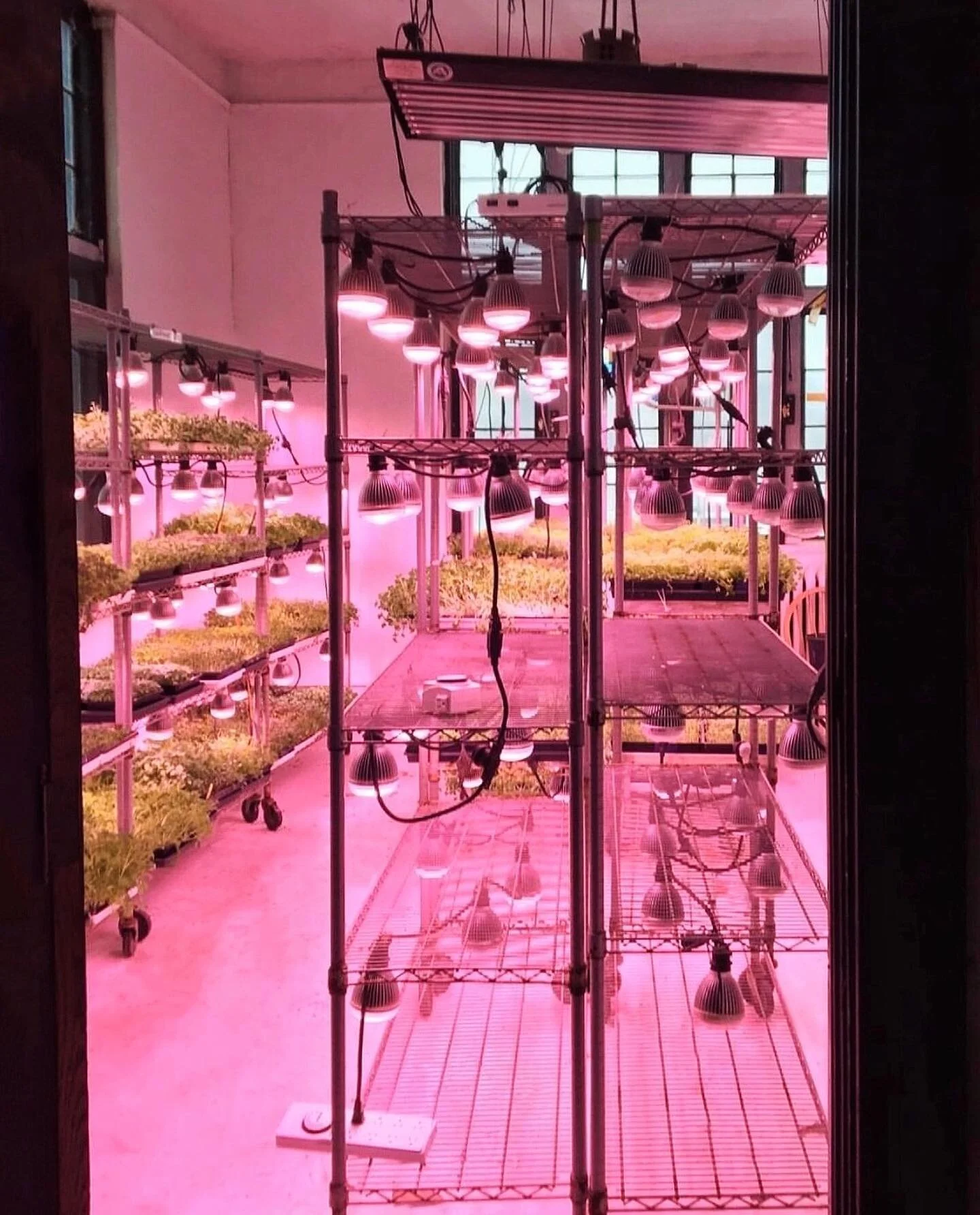 About — Featherstone Garden