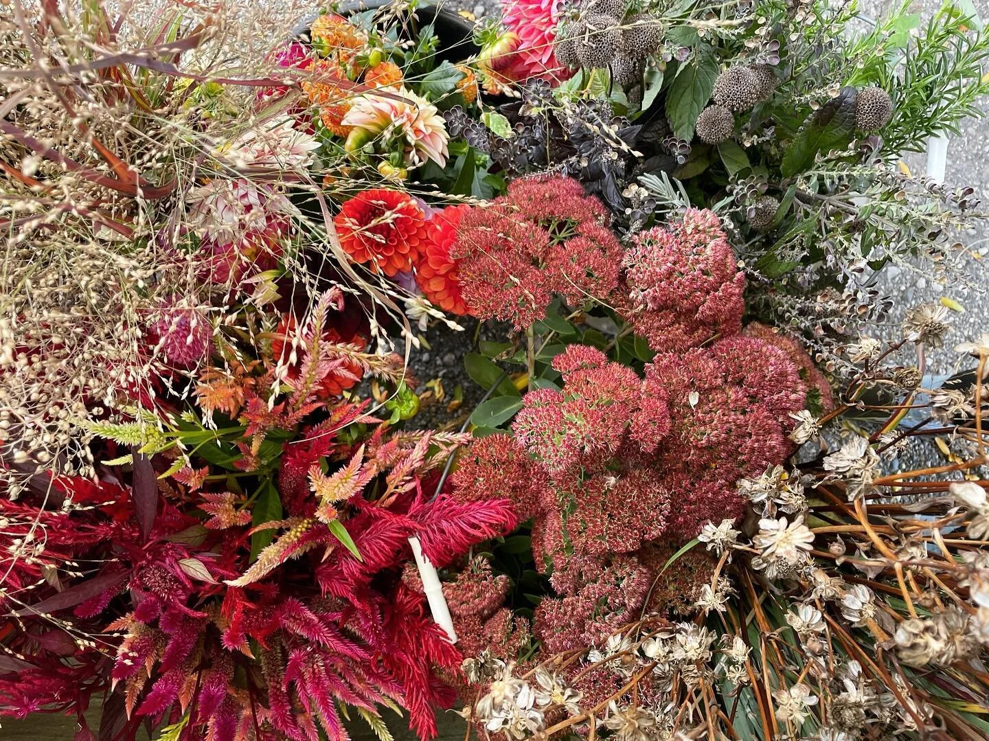 Contact Us — Featherstone Garden