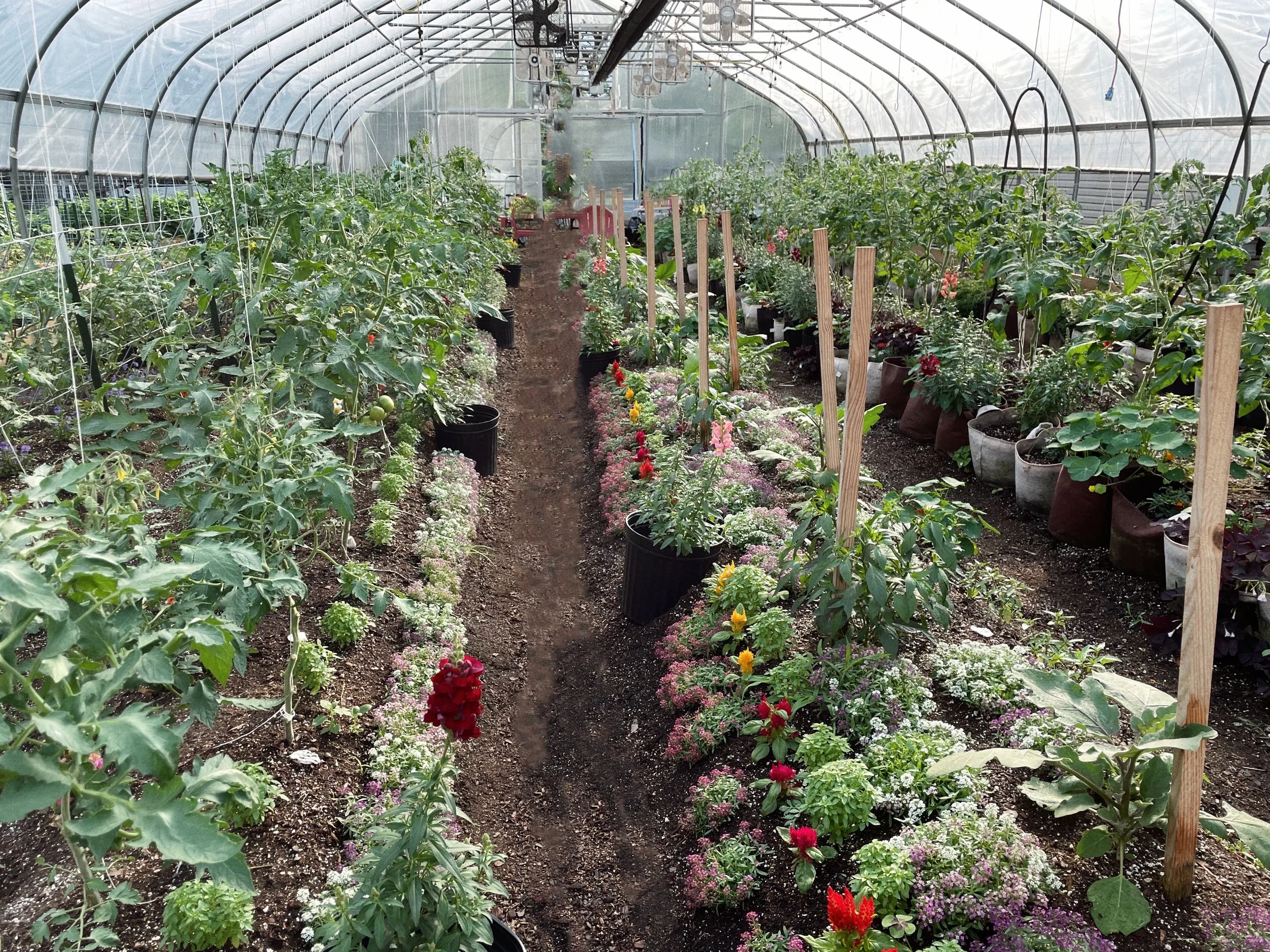 Contact Us — Featherstone Garden