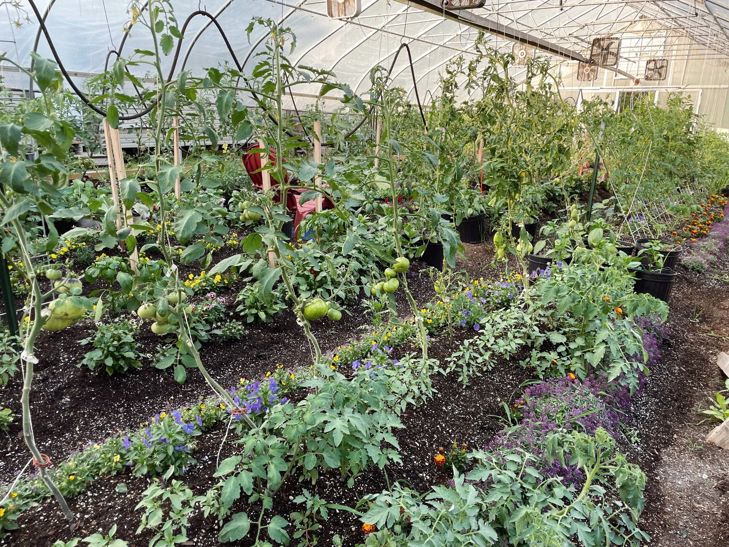 About — Featherstone Garden