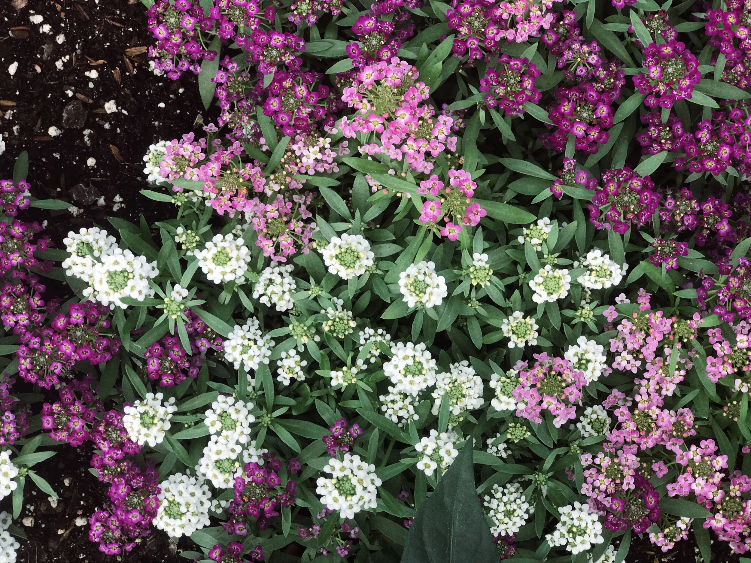 Contact Us — Featherstone Garden