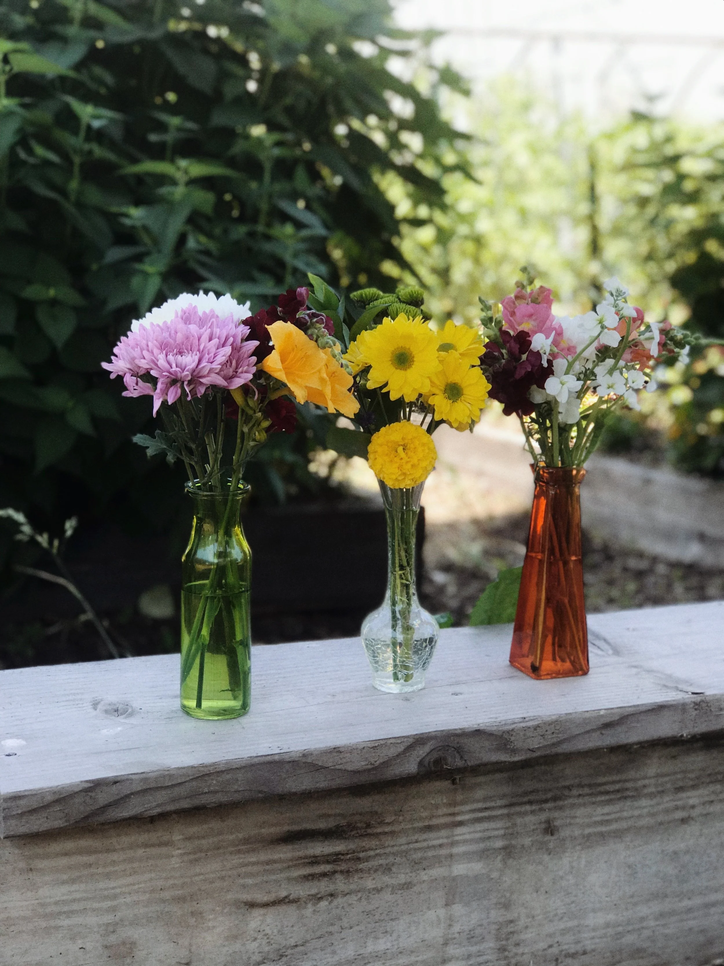 Contact Us — Featherstone Garden