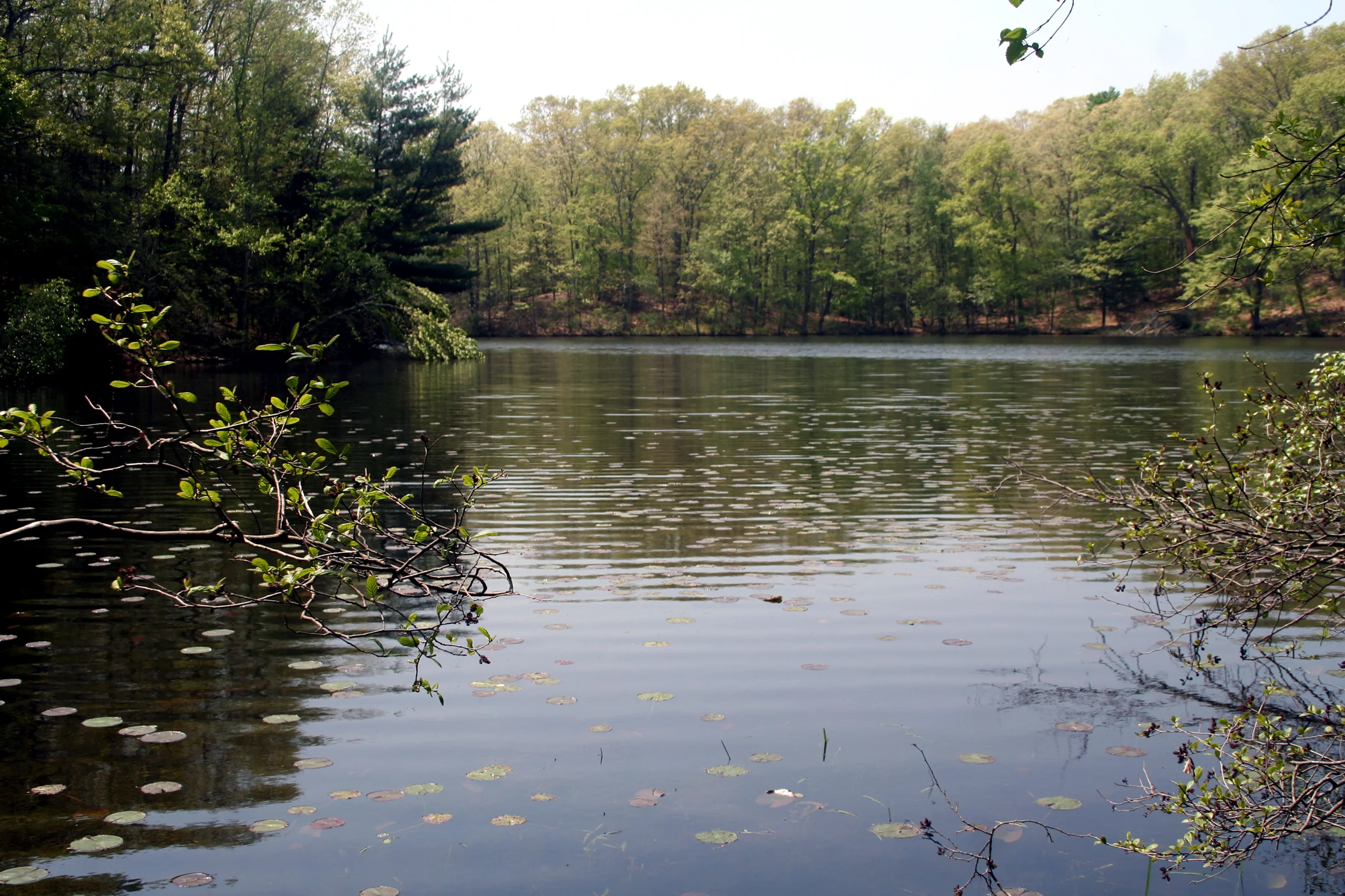 Morg lake photo.jpg