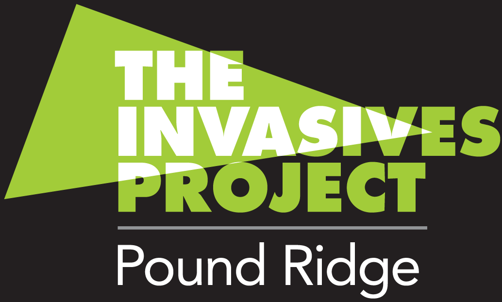 TIP-PR logo for home pg-PR logo for landing pages.png
