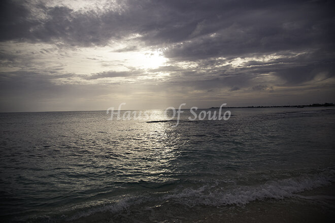 IMG_7608 low res.jpg