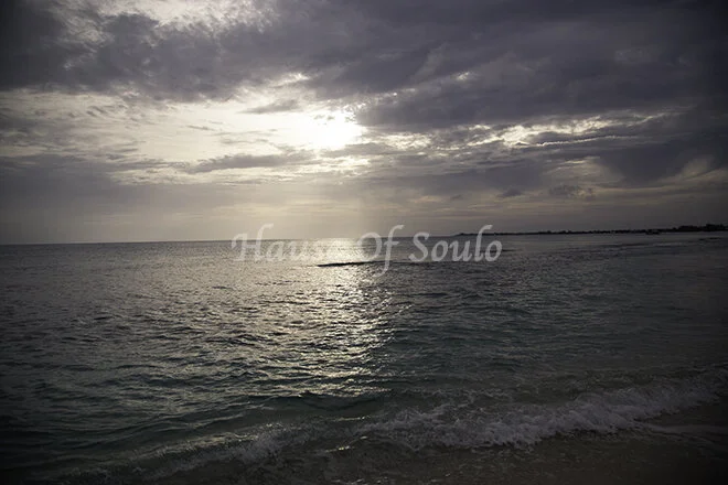 Ocean Winds, Whistling digital download