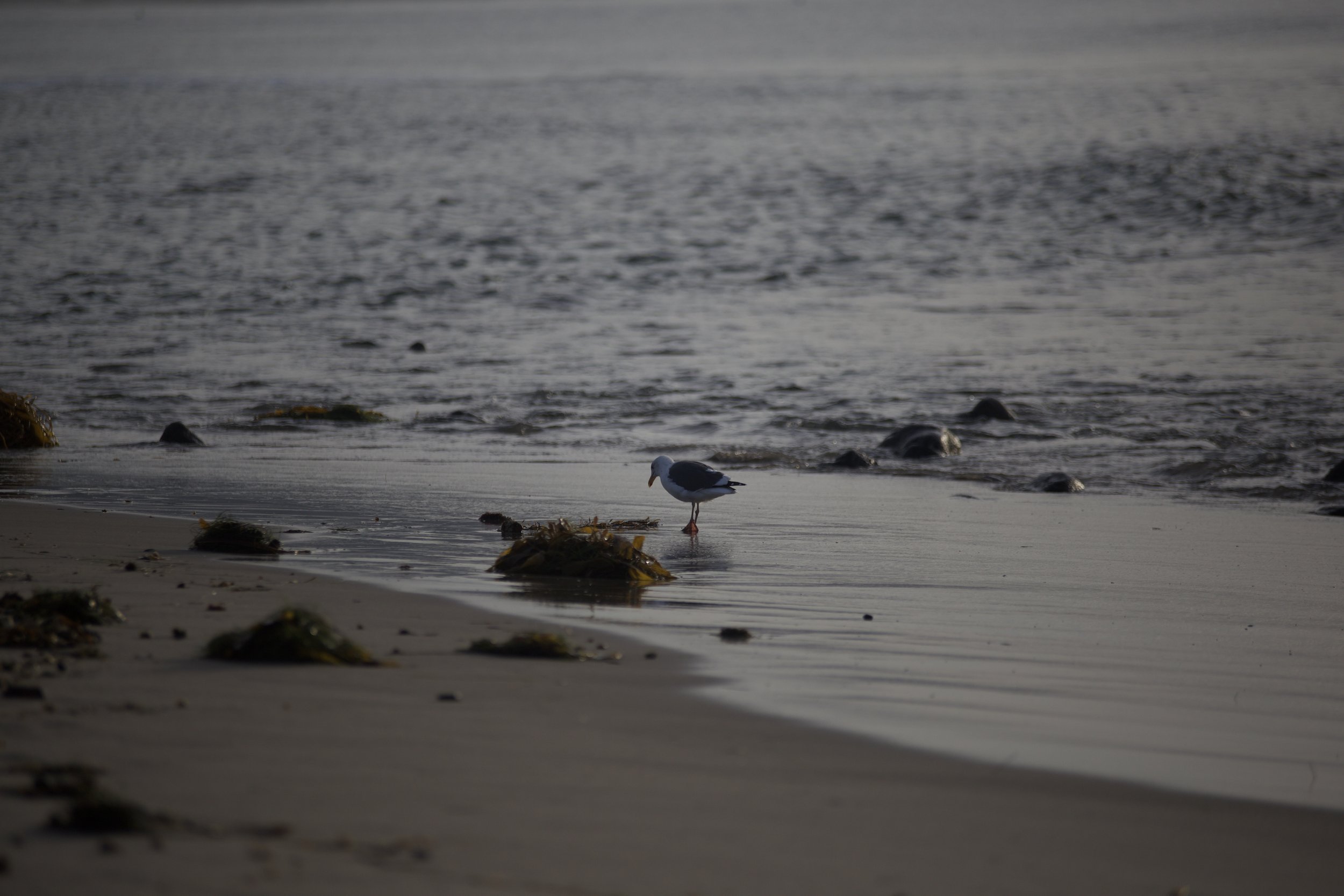 January 14, 2022: If?