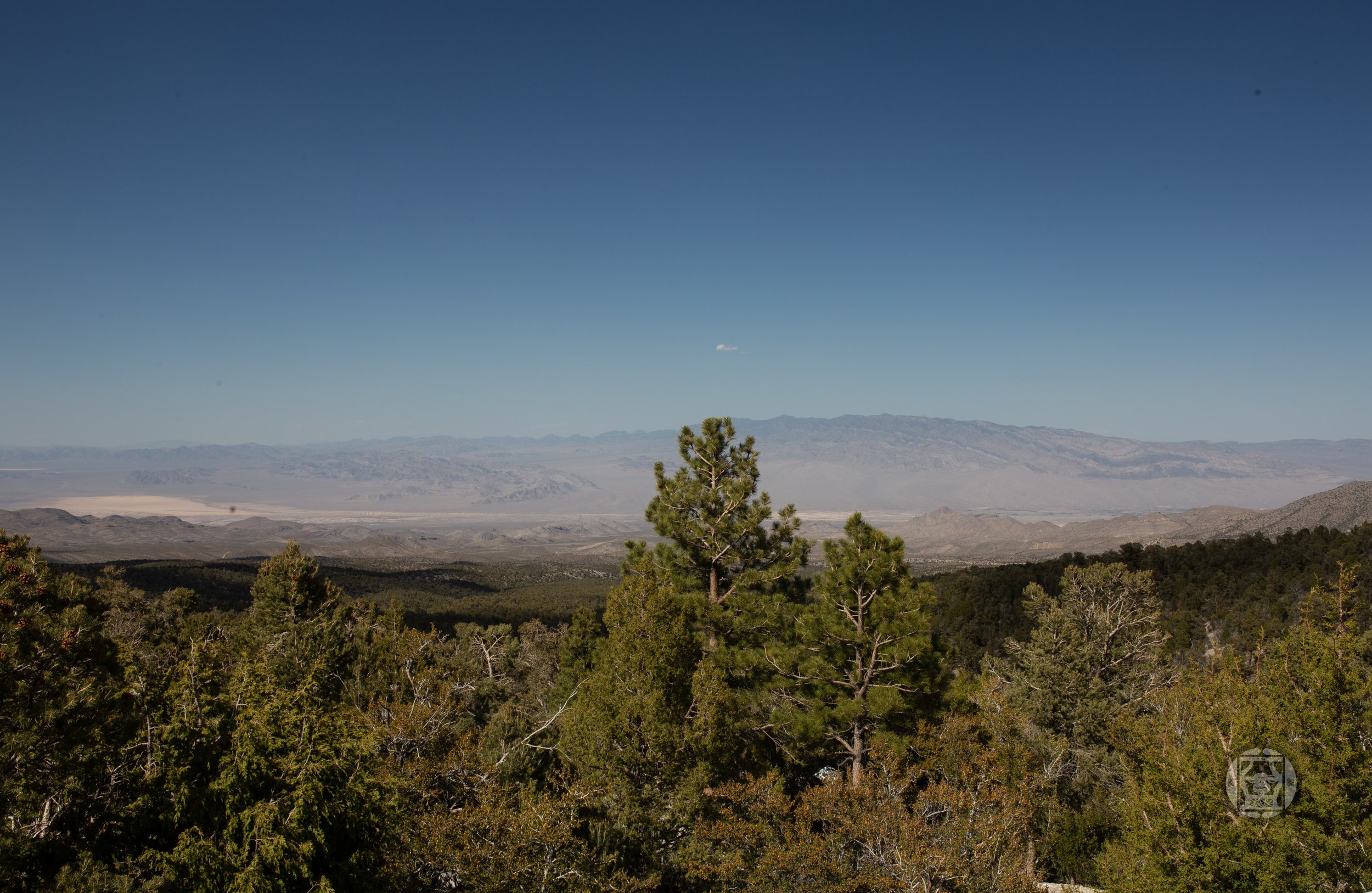 Overlooks, 2021