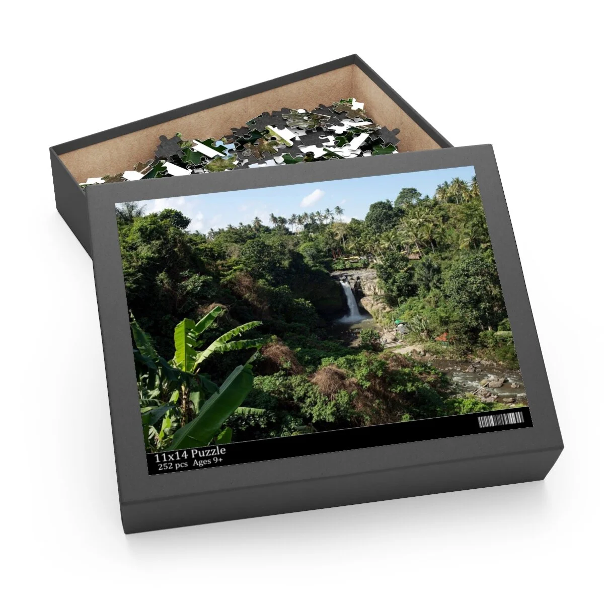 3c80f9ef83e338451cd3e1a01a4bd70a