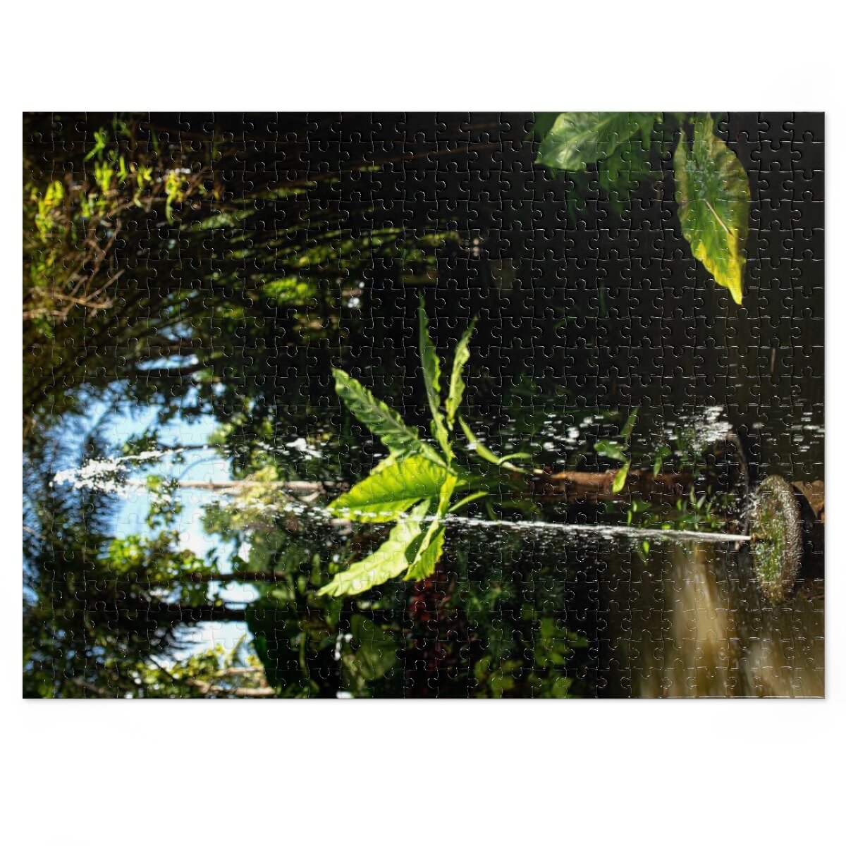 94bb78b64929924ad53f2f7bc3e3c258