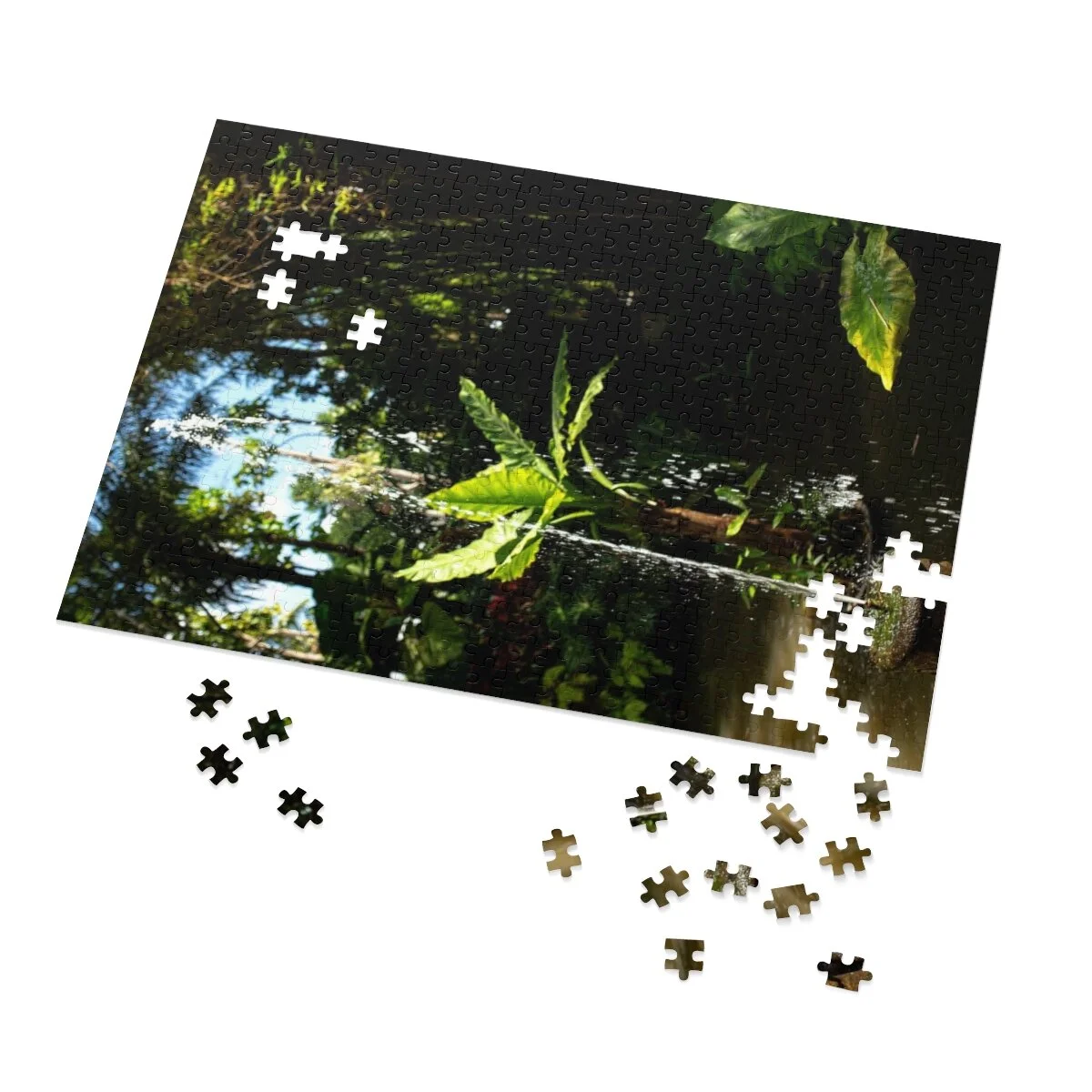 21a6aae1b8263cf7aea0e219a6d88bb0