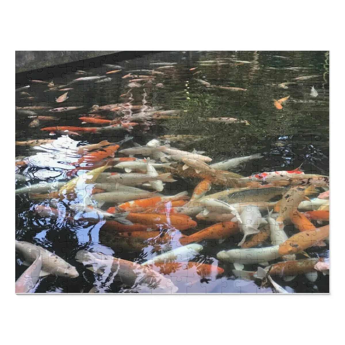 50055d5068b35b3cc71e9fde8bdd2d39