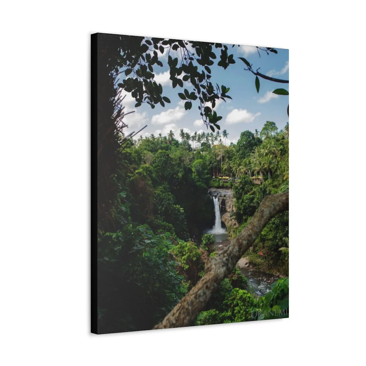 b214ee5c9fc0e51e315e88257e0dd4f2