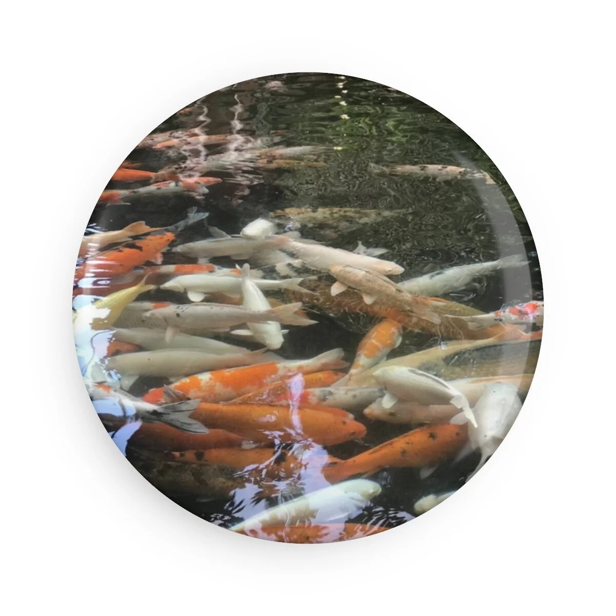 a8e337e0d9dae5bbe67a3aae11a76e74