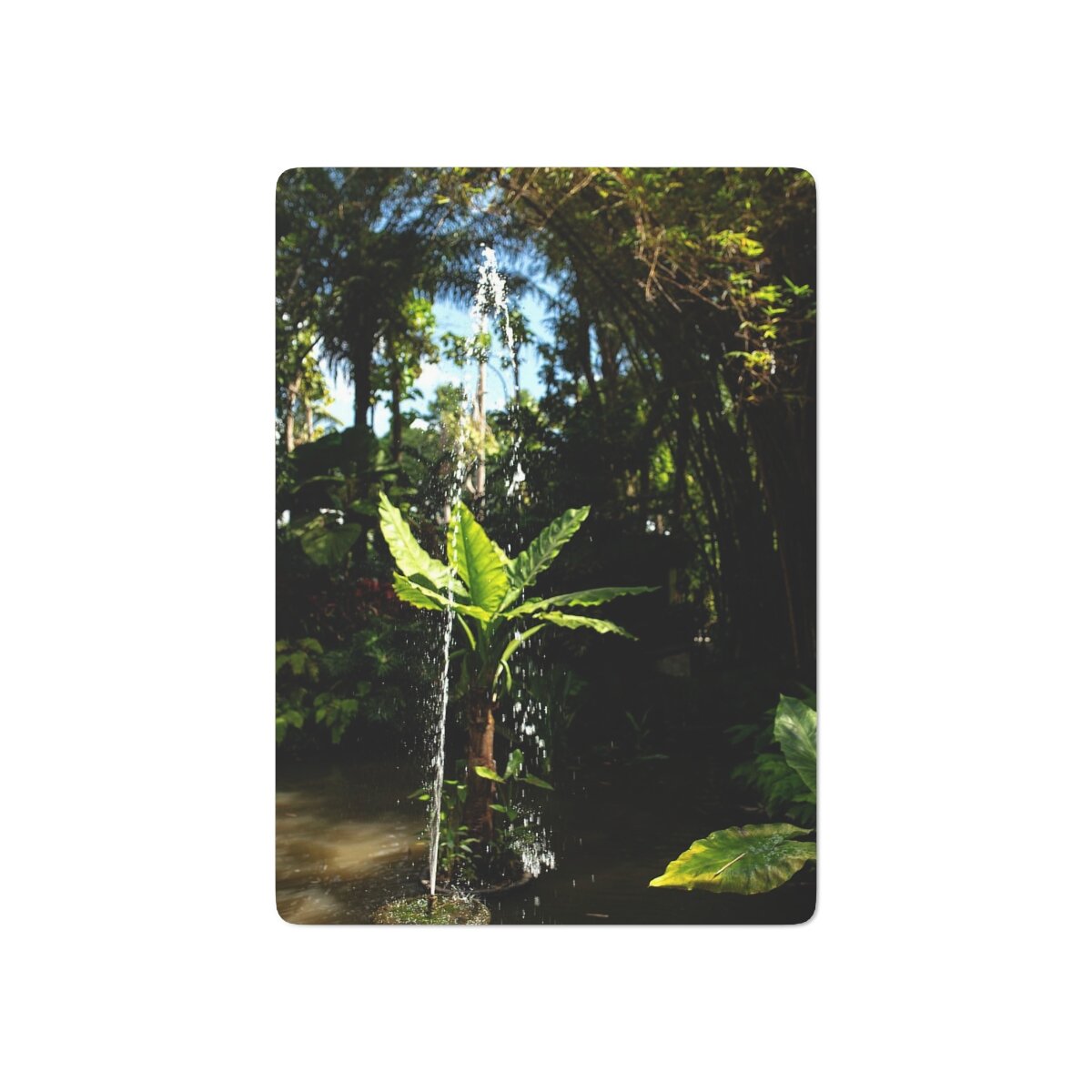 a874ef0aafd8b00b6ad81105504b9c04