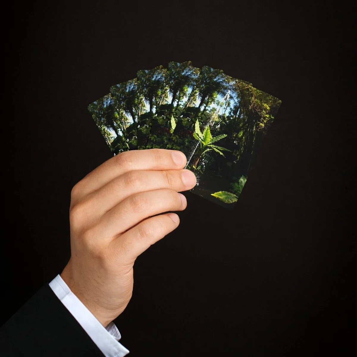 046b250d67c0aa379f0dfbba2055fcdd