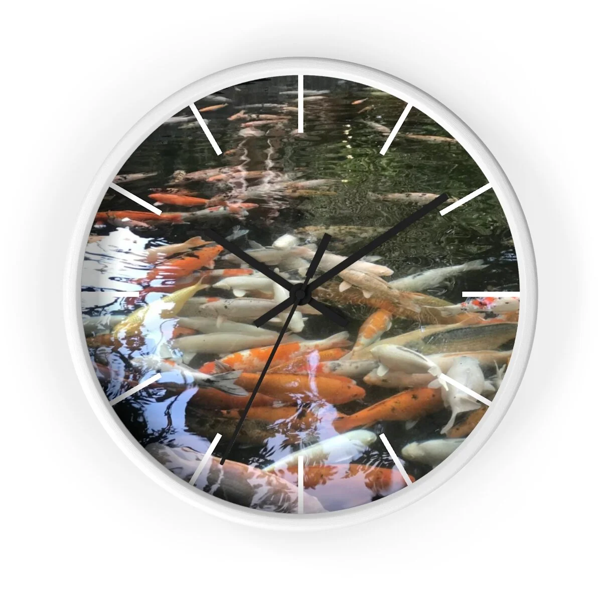 29ae1f1bbafc09ae7ec322f1232fd5b9