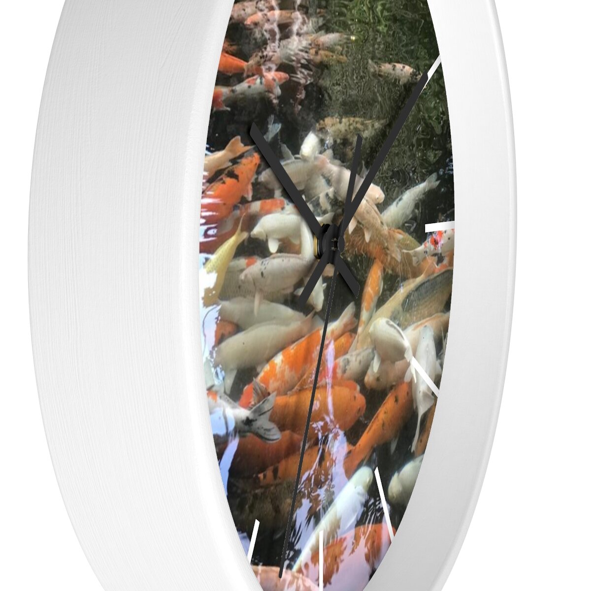 50cc11b3c0d0681377d6c22a586fd264