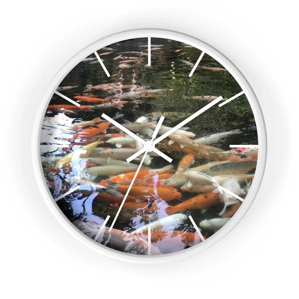 8795f328b55eda3c2c160dd89e2d4783