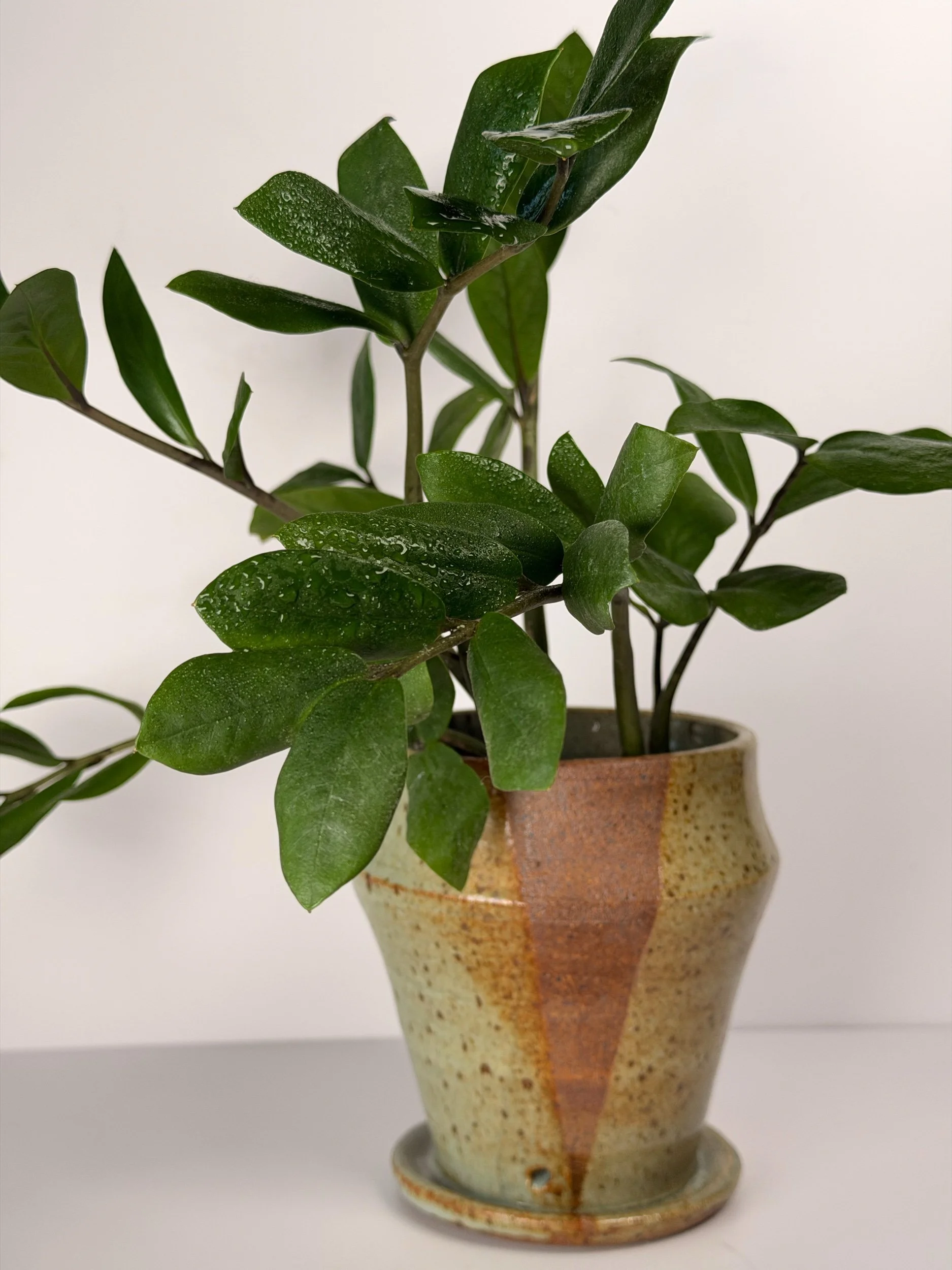 A symbol that marks the journey..