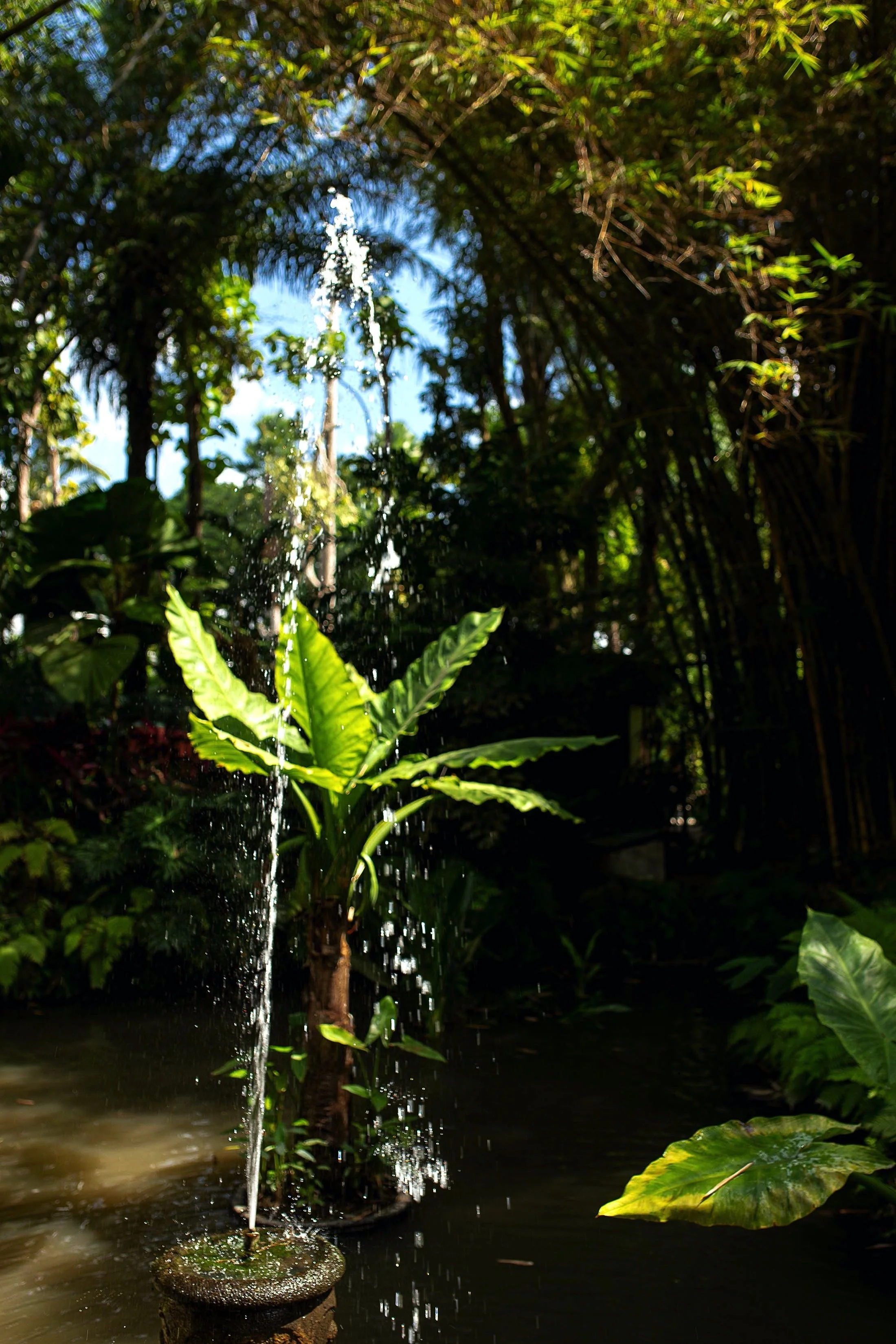 Image 12-23-19 at 4.27 PM.jpeg