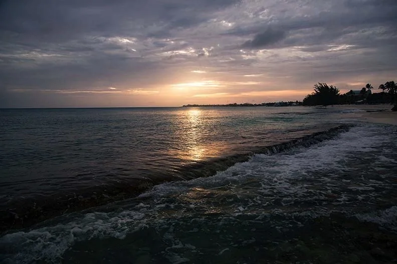 Image 6-18-18 at 7.45 PM 2.JPG