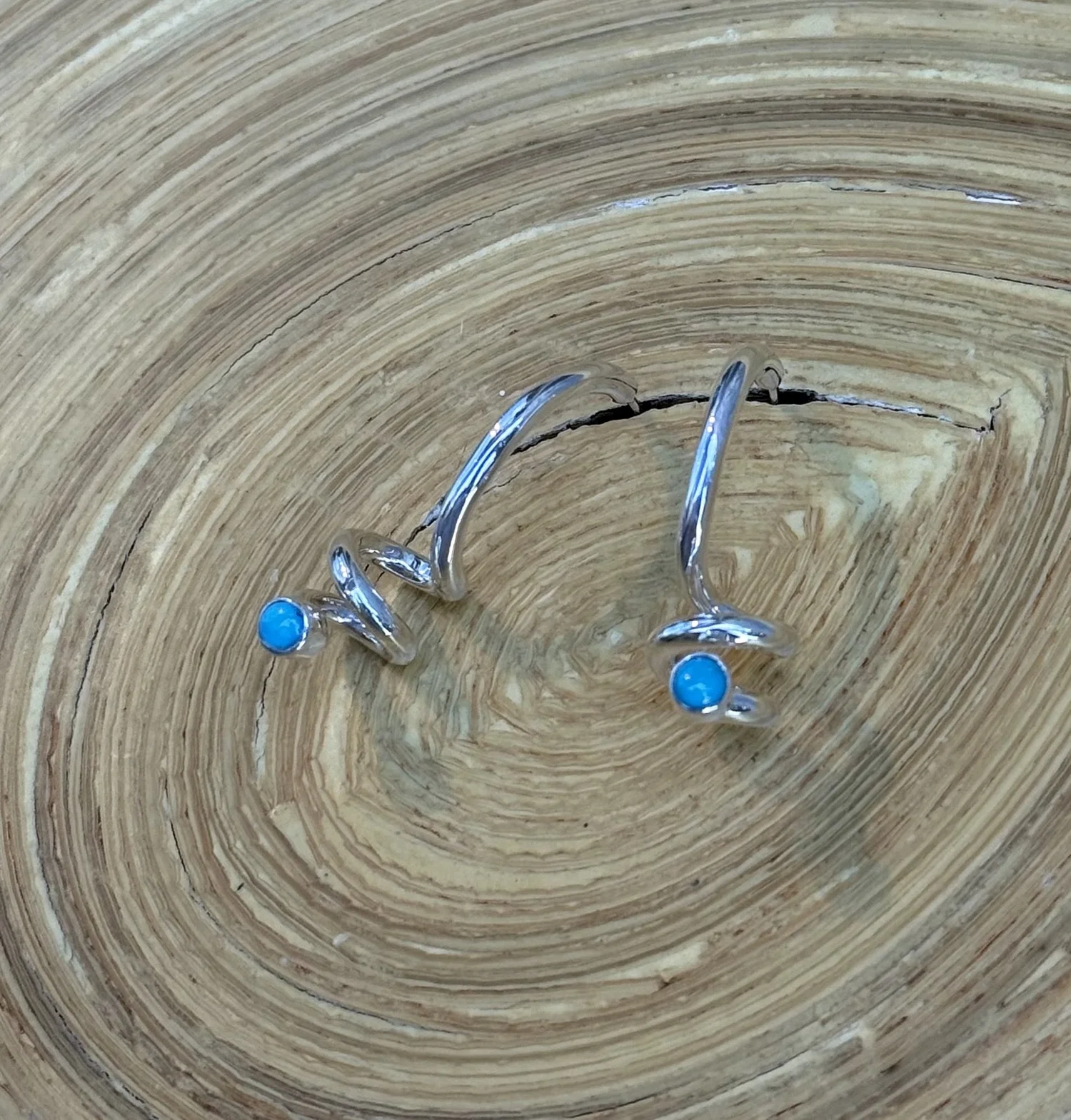E152 Sleeping Beauty Turquoise Earrings — Lilly Barrack Seasoned