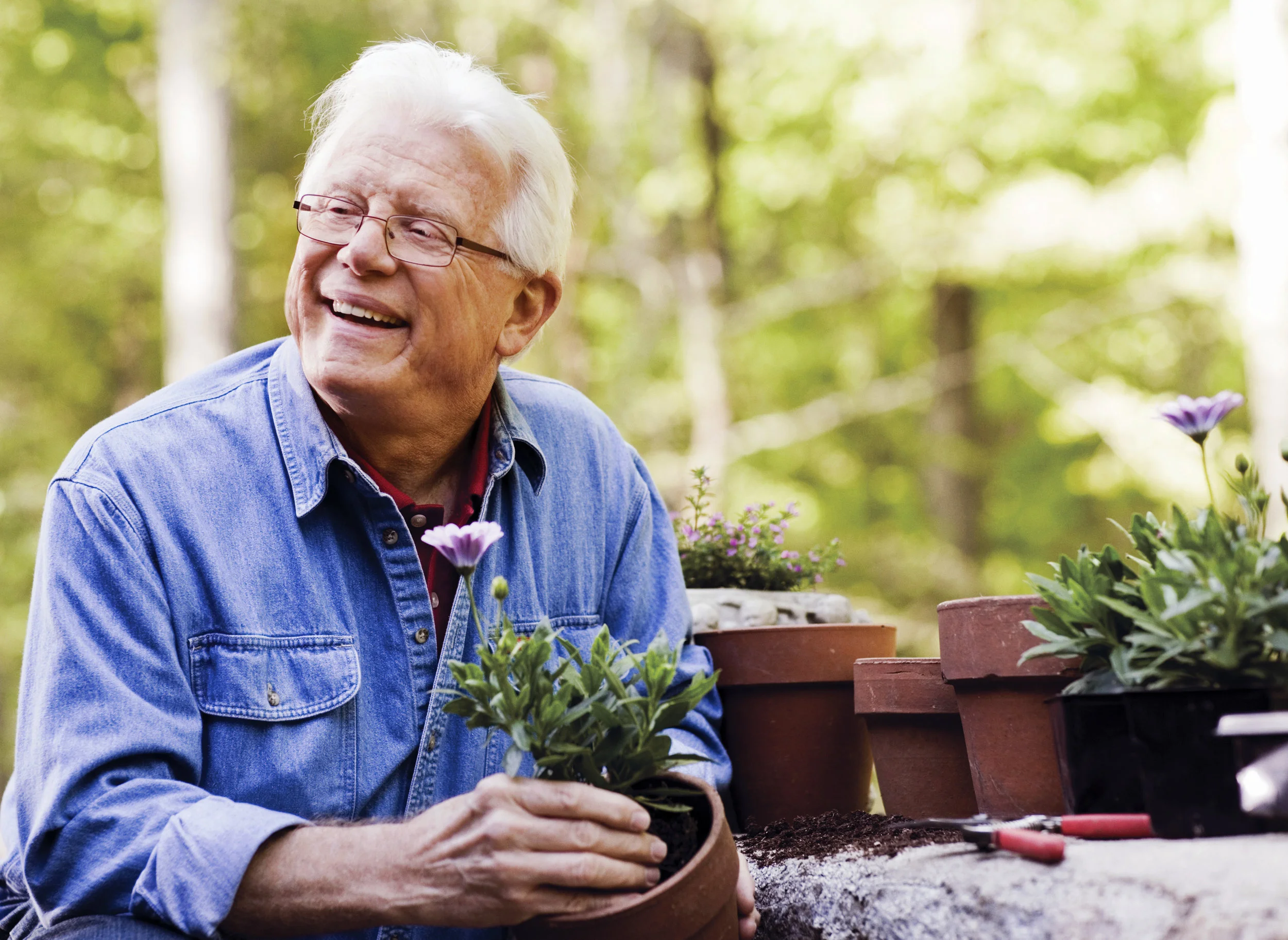 iStock-536810323.jpg