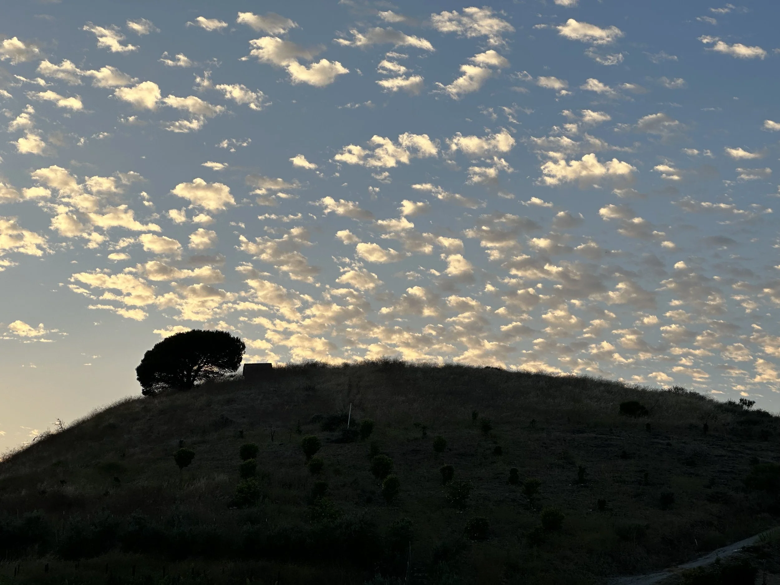 IMG_0341.jpeg