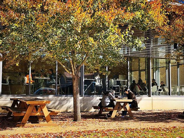 Perfect weather to dine #alfresco. 🍽🍁🍂#riceuniversity