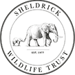 SheldrickWildlife2.png