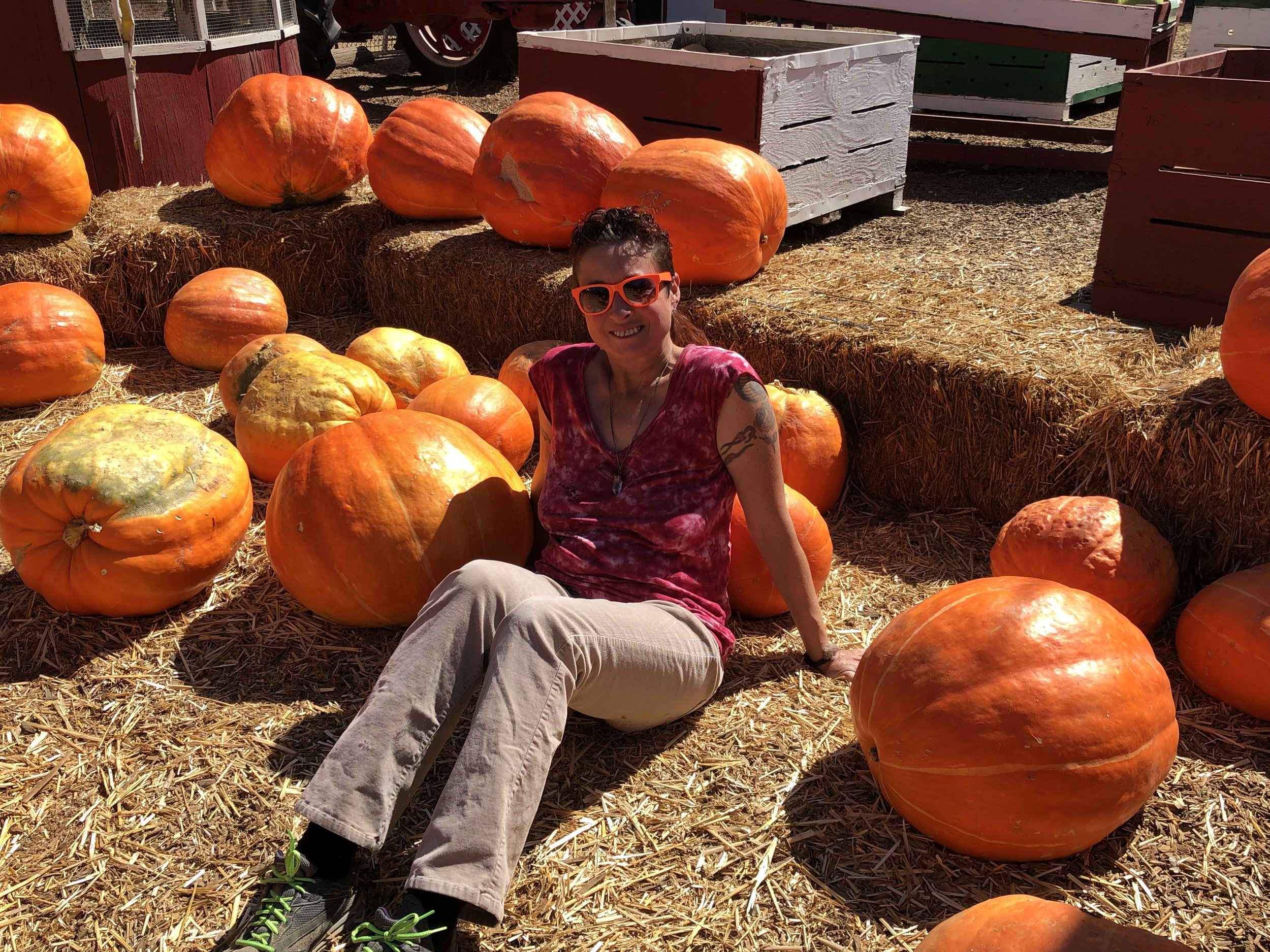 At Tapia Brothers pumpkin patch