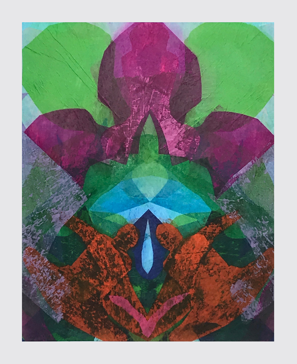 ORCHID MADNESS 9