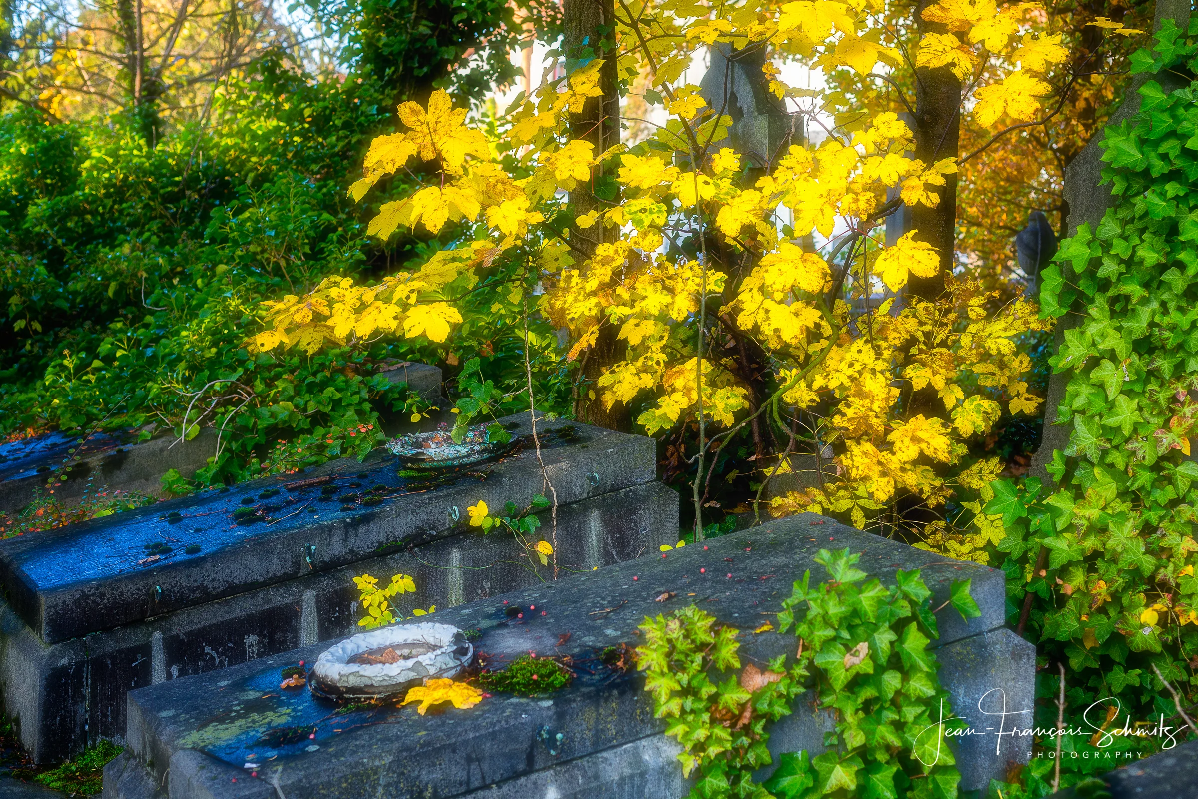 121111_JFS_Dieweg_5D_70442-Edit.jpg