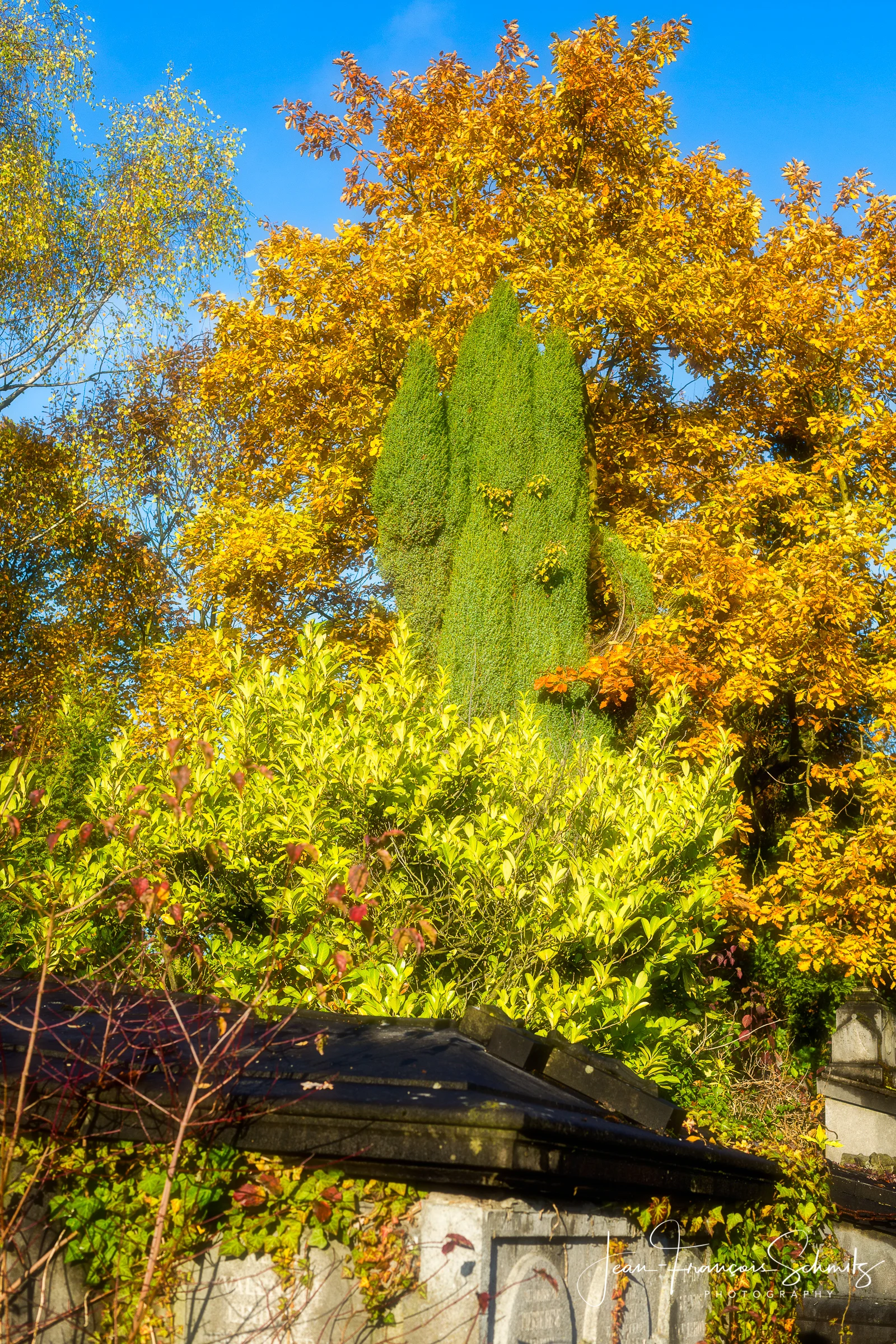 121111_JFS_Dieweg_5D_70486-Edit.jpg