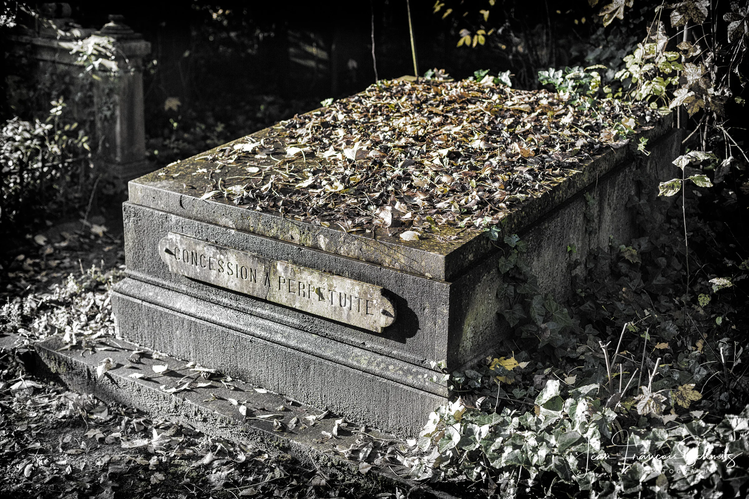 121111_JFS_Dieweg_5D_70516-Edit.jpg