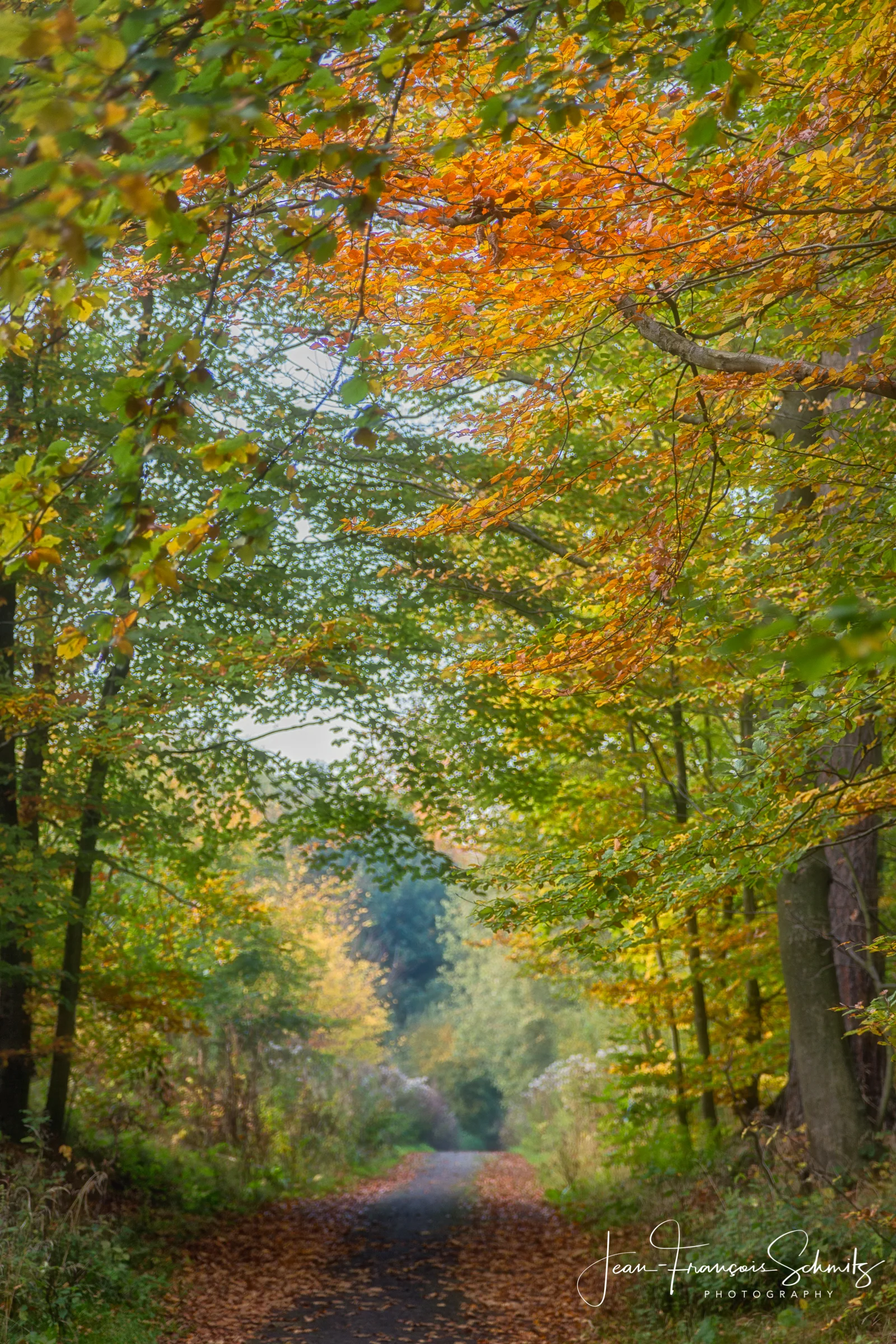 121021_JFS_Autumn_5D_69971-Edit.jpg