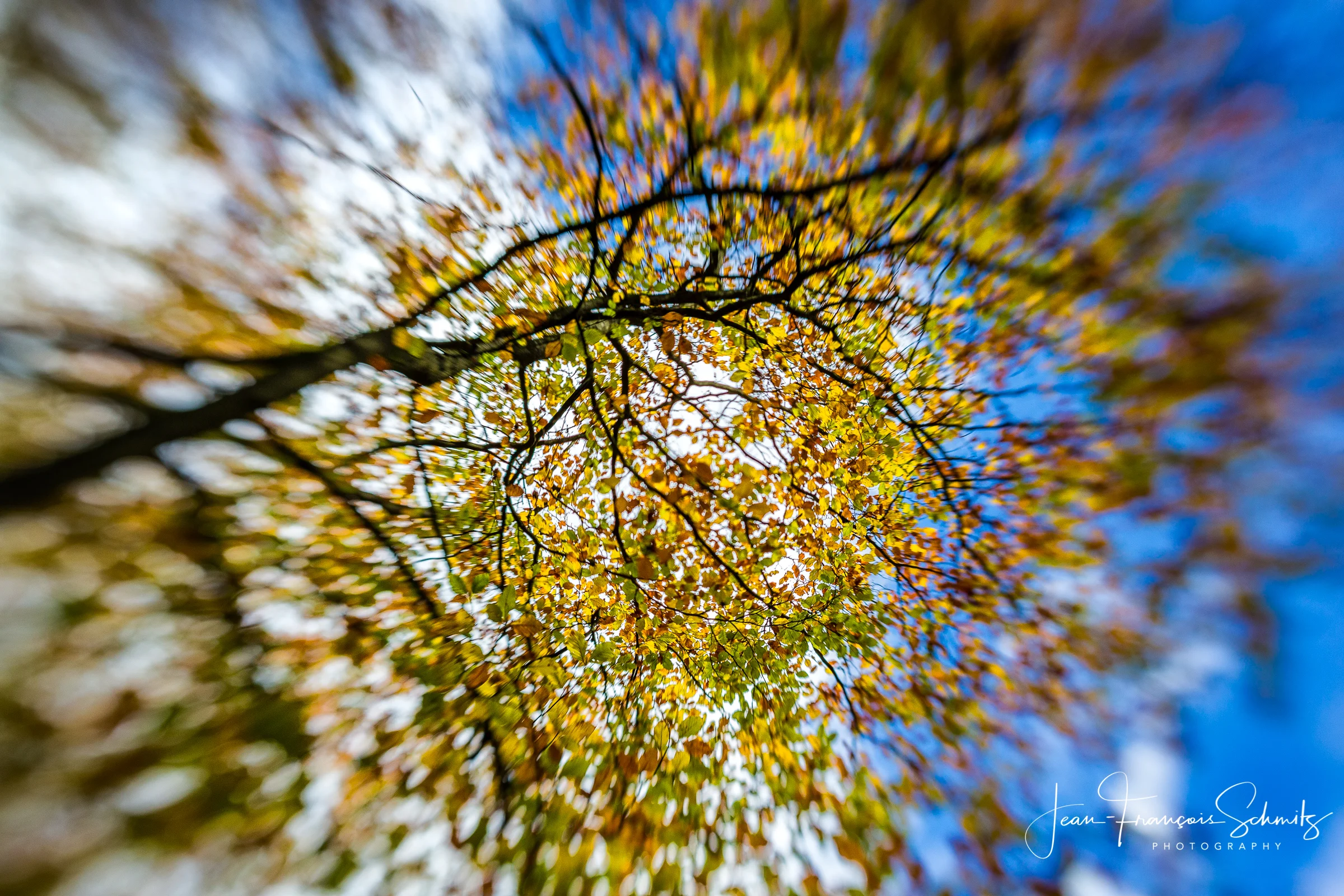 121027_JFS_Soignes_5D_70051-Edit.jpg