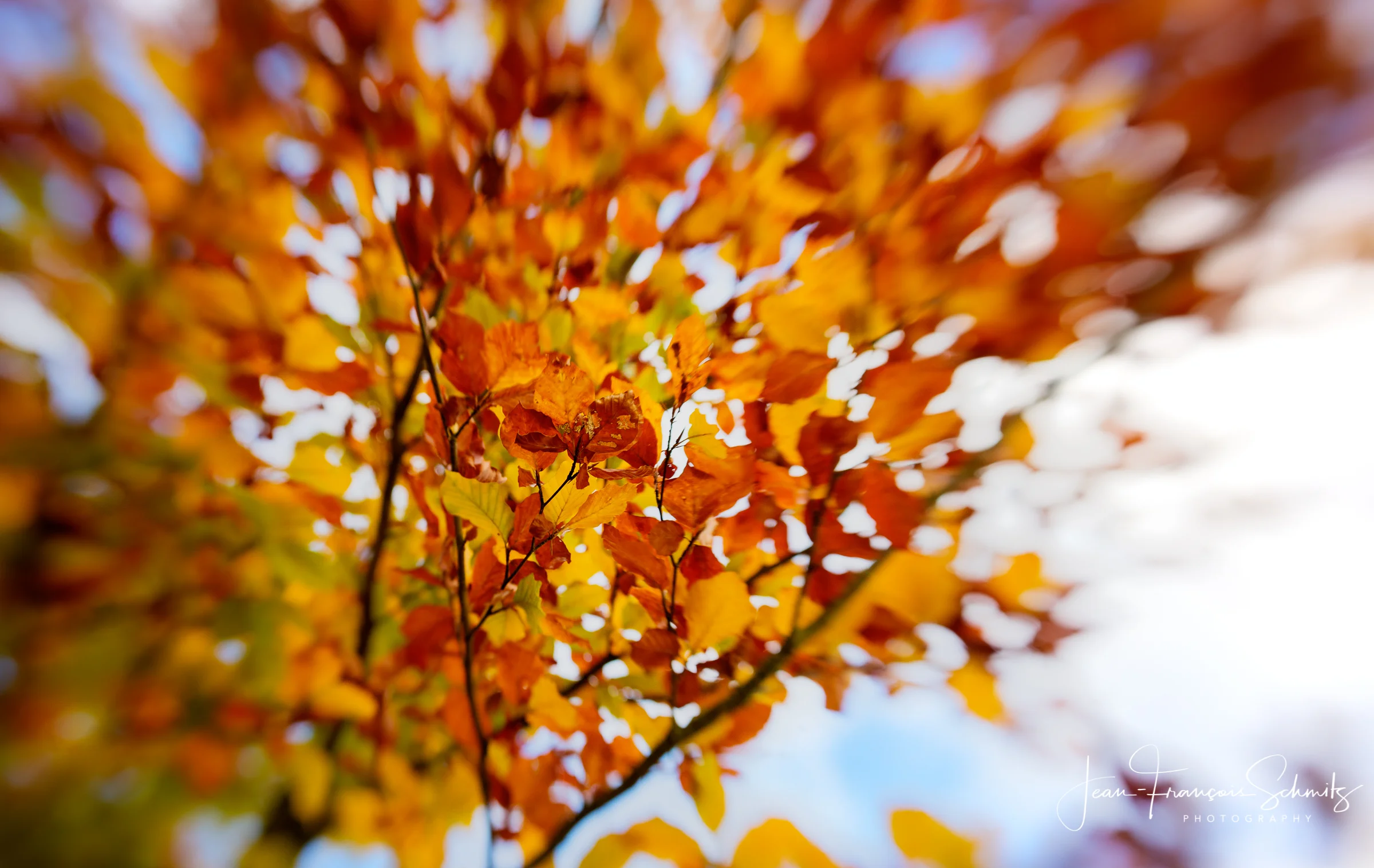 121027_JFS_Solvay_5D_70085_6_7_8_9-Edit.jpg