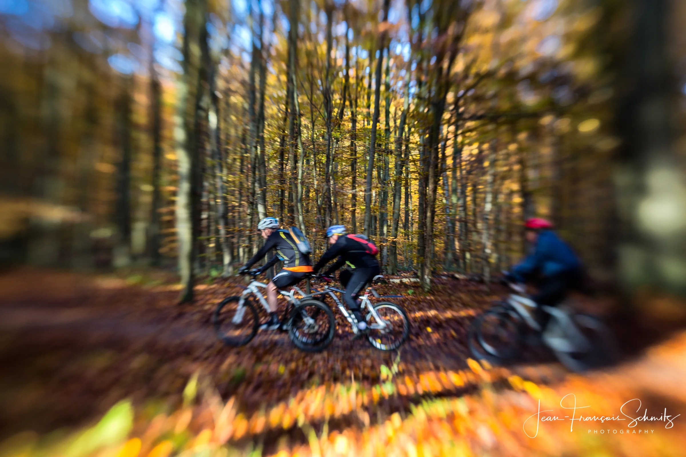 121111_JFS_Soignes_5D_70602-Edit.jpg