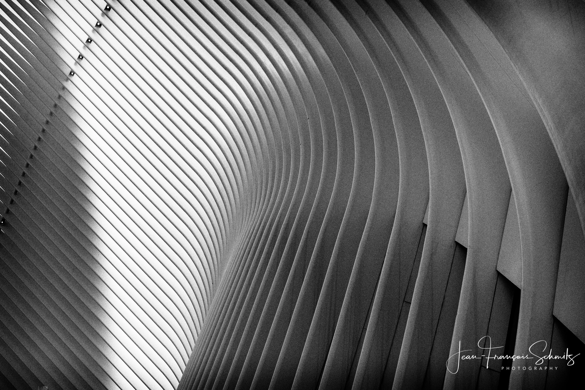 180315_JFS_NY2018_5D_180740232-Edit.jpg