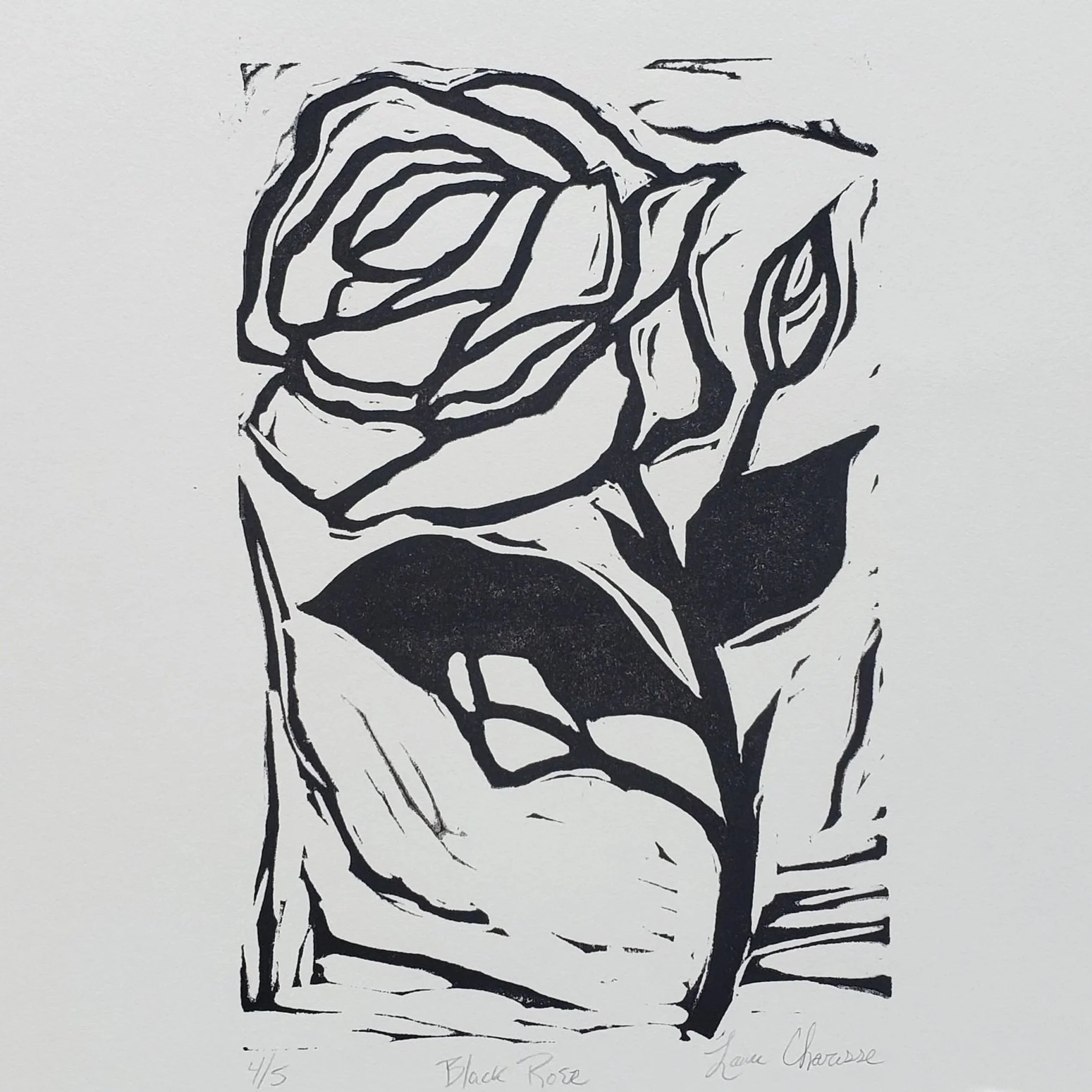 Rose2.jpg