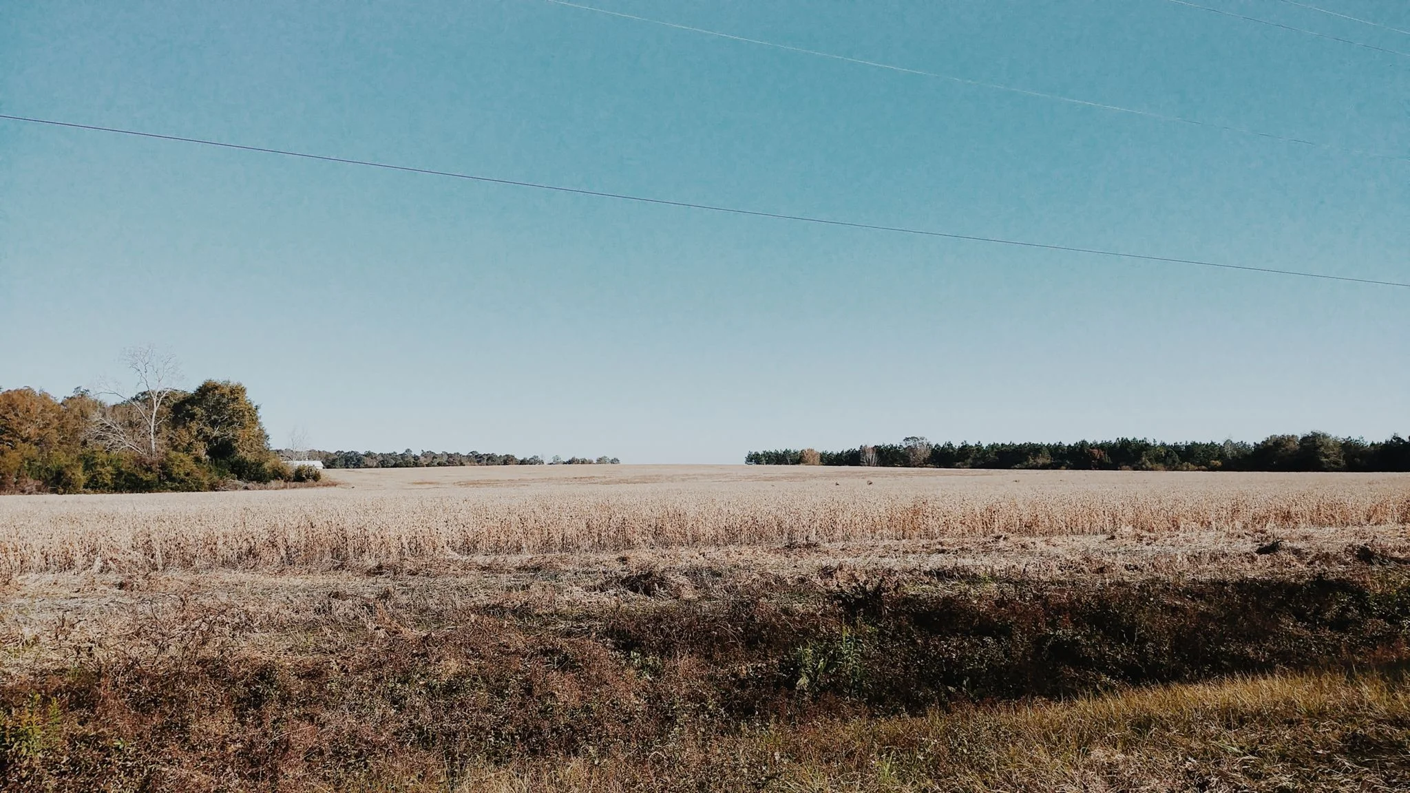 Riders will cycle by stunning farm-side vistas like this one repeatedly over the 35+ miles of country road incorporated into this year's route.