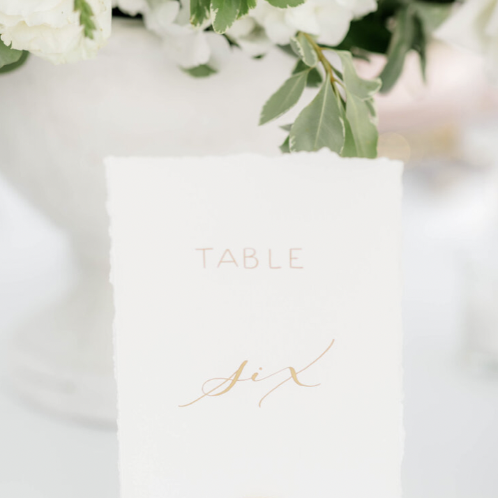 Hand Torn Table Numbers