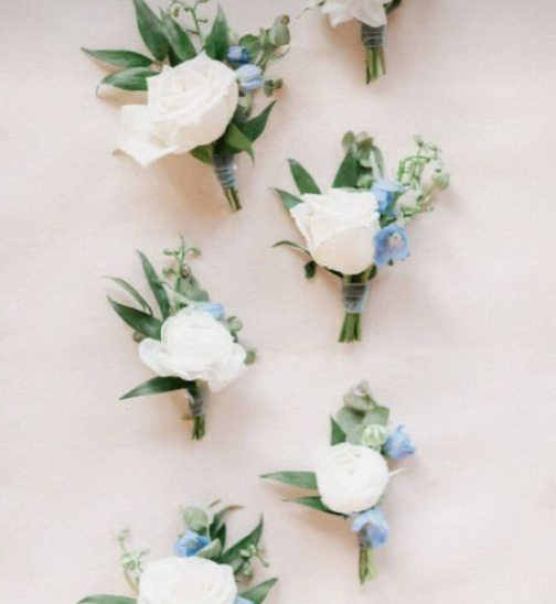 White + Blue Bout | $30